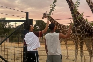 難得閑暇時光，皇馬中場貝林厄姆社媒曬和長頸鹿互動照